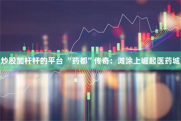 炒股加杆杆的平台 “药都”传奇：滩涂上崛起医药城